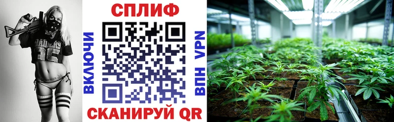 Хочу наркоту Дмитриев Амфетамин ГАШ ГЕРОИН КОКАИН