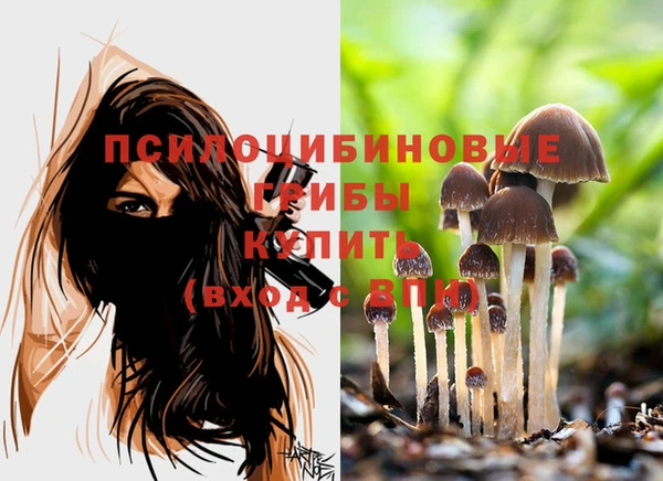 марки nbome Верея