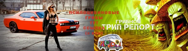 марки nbome Верея