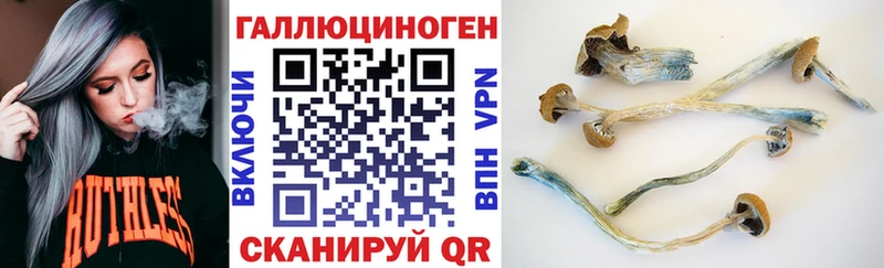 darknet телеграм  Дмитриев  Псилоцибиновые грибы ЛСД 