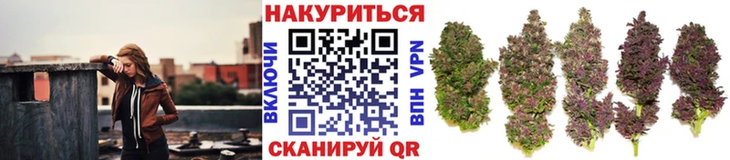 купить наркотики сайты  Дмитриев  Бошки Шишки марихуана 